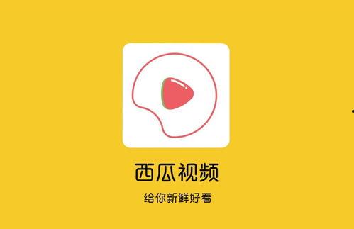 西瓜视频和抖音,短视频平台的崛起与竞争